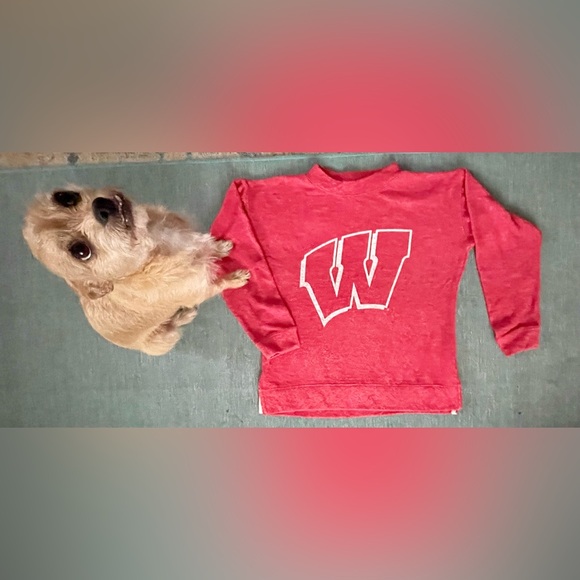 Wisconsin "Terry Cloth" Mock Neck Sweatshirt Size Small - Picture 10 of 13